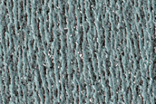 North Polar Residual Cap Monitoring Site