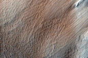 Elysium Fossae Infills