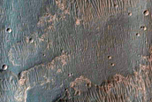 Gully-Like Mass Wasting in Light-Toned Layered Deposits