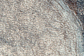 Terrain Sample