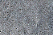 Dust Devil Survey