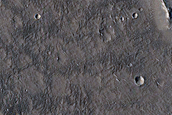 Terrain Sample