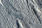 Gullies along Mesa Wall in Northern Tempe Terra