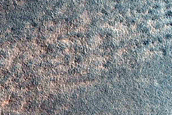 Gully Monitoring