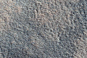 Terrain Sample