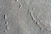 Impact Monitoring in Arcadia Planitia
