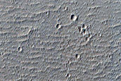 Candidate Recent Impact Site