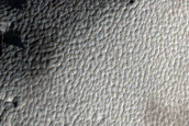 Frost Survey in Steep and Fresh-Looking Crater