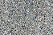 Terrain Sample
