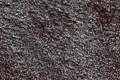 Monitor Plains near North Pole