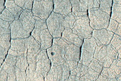 Utopia Planitia Terrain Sample