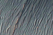 Rim of Martin Crater