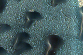 Gypsum Dunes and Basal Unit Contact