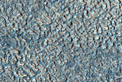 Impact Monitoring in Arcadia Planitia