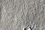 Terrain Sample