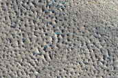 Northern Plains Monitoring