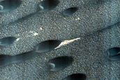 Olympia Undae Dune Interaction with Residual Polar Ice
