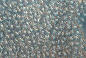 Polar Barchan Dune Monitoring