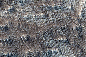 Terrain Sample in Northern Daedalia Planum