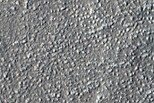 Sample of Scalloped Terrain West of Erebus Montes