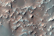 Dune Field