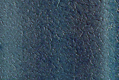 Dune Interaction with Residual Polar Ice