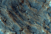 Libya Montes Phyllosilicates