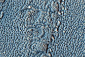 Shearing Structures between Viscous Flow Features