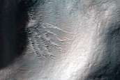 Terrain Sample
