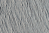 Monitoring Recent Impact Site