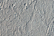 Dust Devils Survey and Ridges in Amazonis Planitia