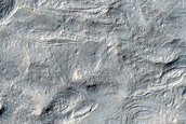 Yardang-Forming Material in or near Apollinaris Sulci and Lucus Planum