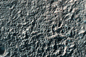 Terrain Sample