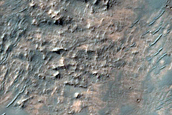 Terrain Sample
