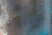Dune Field