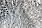 Gullies on Wall of Mesa in North Tempe Terra