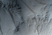 Terrain Sample