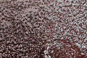 Fringe of Perennial Ice Deposit