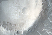 Terrain Sample