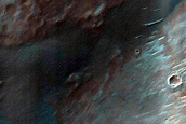Dune Survey