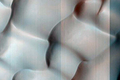 Dune Survey