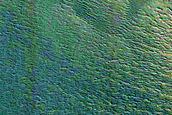 Exposure of North Polar Layered Deposits