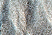 Gully Monitoring