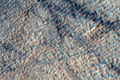 Monitoring Dust Devil Tracks