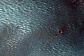 Barchan Dunes in Nili Fossae