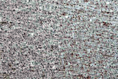 Monitoring Rapid Albedo Changes in North Polar Layered Deposits