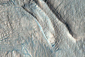 Gully Monitoring