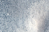 Tempe Terra Mantle Flow