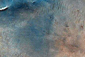 Dune Survey