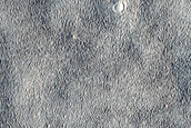 Eruptive Center in Arcadia Planitia